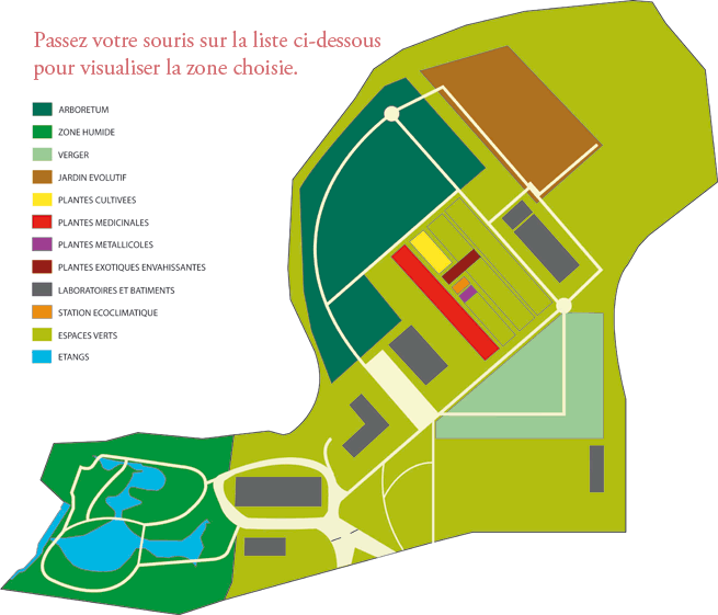 Plan du jardin